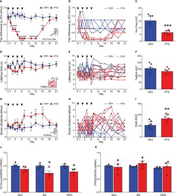Resolvin D1/N-formyl peptide receptor 2 ameliorates paclitaxel-induced neuropathic pain through the activation of IL-10/Nrf2/HO-1 pathway in mice